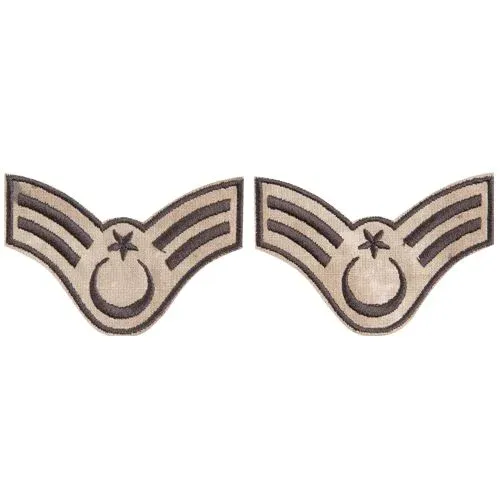 1-Ast Çvş